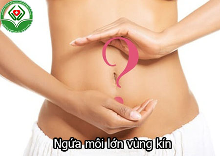 ngứa môi lớn vùng kín